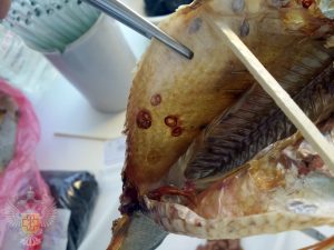 Как не заразиться рыбными гельминтами: правила безопасности